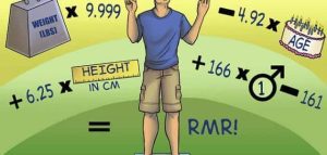 Calculate the calories your body needs to gain weight